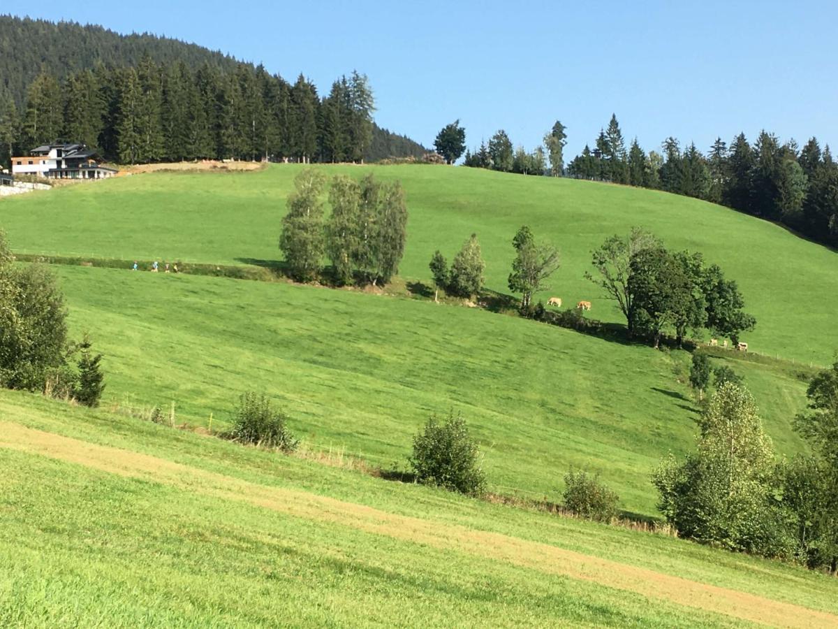 Traumblick Dachstein Apartment Radstadt Luaran gambar